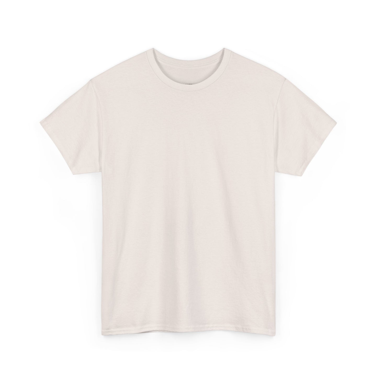 T-Shirt Light Basic DisOrderHub